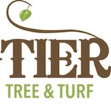 Frontier Tree CO - Landscape Architects in Red Bank