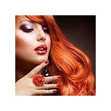 Haute Hair Salon - Other in Tenafly