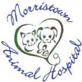 Hartke Tara DVM - Veterinarians/Vets in Morristown
