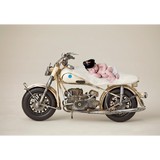 BABY GAGA PHOTOGRAPHY - Other in Hillsdale