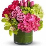 All Occasion Florist - Florists in Hoboken