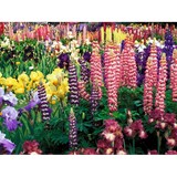 Greco Landscaping Lawn & Maint - Landscape Architects in Franklin