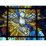 St Veronica's Roman Catholic - Churches in Howell