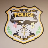 Mount Olive Township - Other in Flanders