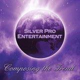 Silver Productions LLC - Other in New Milford