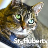 St Hubert's Giralda Animal - Animal Shelters in Madison