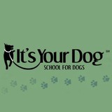 It's Your Dog LLC - Other in Andover