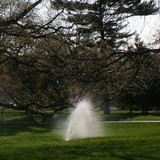 RR Irrigation CO Inc - Other in Middlesex