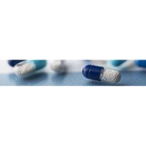 Elite Pharmaceuticals Inc - Other in Northvale