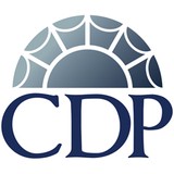 Cdp Hardware Procurement Services LLC - Other in Glassboro