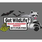 Got Wildlife? - Other in Roseland