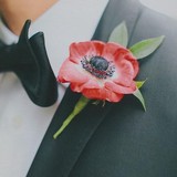 Narcissus - Florists in Toms River