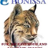 EHONISSA - Other in Bergenfield
