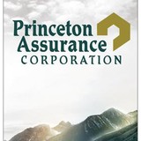 Princeton Assurance Corp - Other in Pennington
