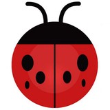 Natural Pest Control Company - Pest Control in Camden