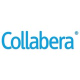 Brillio LLC - Software Development in Morristown