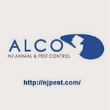 Alco Animal & Pest Control - Pest Control in Bloomfield