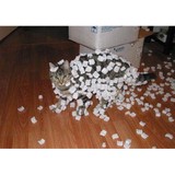 Popcorn Packers Postal - Other in Pennington