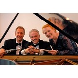 Palisades Virtuosi - Other in Bogota