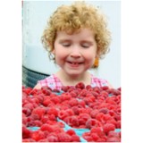 Totowa Health Foods Inc - Other in Totowa