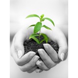 Ucedc - Business Consulting in Union