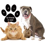 Fur Friends In Need Inc - Other in Hazlet