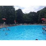 New Milford Swim Club - Other in New Milford