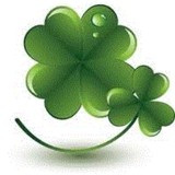 Clover Business Solutions Llp - Other in Mahwah