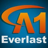 Everlast Chimney Contractors - Other in Ridgewood