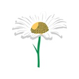 Zen & Kitchen - Restaurants in Teaneck
