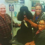 Animal Kingdom - Other in East Orange