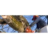 Gary's Tree Services LLC - Tree Services in South Plainfield
