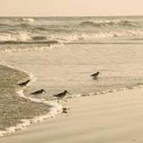 Long Beach Island School District (Inc) - Other in Beach Haven