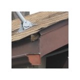 A Bad Critter Raccoon & Squirrel Removal - Pest Control in Riverton