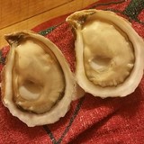Atlantic Shellfish Inc - Other in Cape May