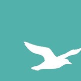 Cape Publishing Inc - Other in Cape May