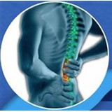 Delli Santi Philip DC - Chiropractors in Newark