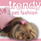 Trendy Pet Fashion - Other in Nutley