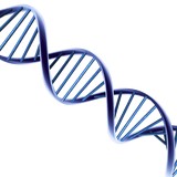 Aha Bioconsultants - Business Consulting in Pennington