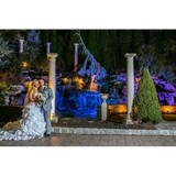 Torrin Studio Of Photography - Other in Cranford