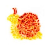 Pathology Innovations LLC - Other in Wyckoff