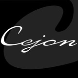 Cejon Inc - Other in Bayonne