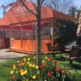 Osteria Procaccini - Restaurants in Kingston