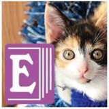 Enslow Publishers - Other in Berkeley Heights