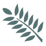 Mimosasoft L L C - Web Design & Development in Woodbridge Township
