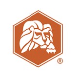 Lion Technology Inc - Business Consulting in Lafayette Township