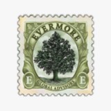 Evermore Value Funds Trust - Other in Summit