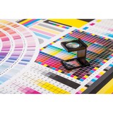Apex Printing Service Inc - Other