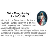 Our Lady Of Hope Parish Religious Education - Other in Blackwood
