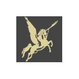 Pegasus Limousine Corp A - Other in South Hackensack